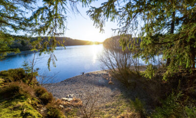 Lac de Butgenbach - Holzheimer Hütte